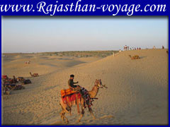 tour package rajasthan