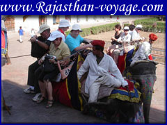 Travel Packages Sawai Madhopur