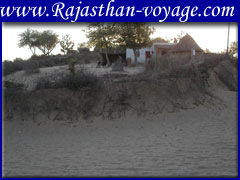 tour package ranthambore