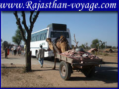 Sawai Madhopur Travel