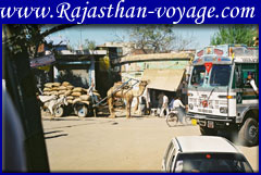 rajasthan market
