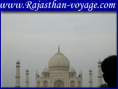 India wildlife packages tour