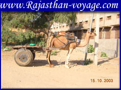 low cost hotel rajasthan