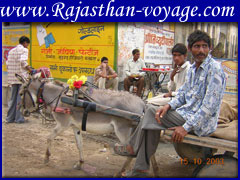 Rajasthan destinations guide