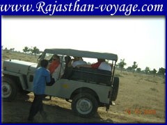 orchha tour packages